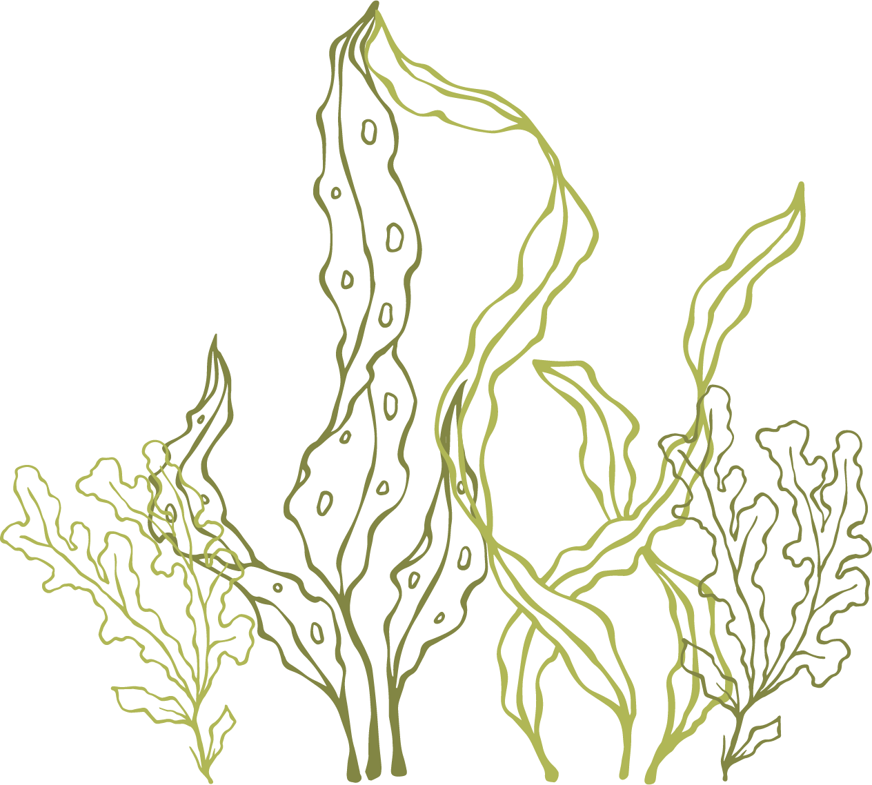 Ice Cream Seaweed