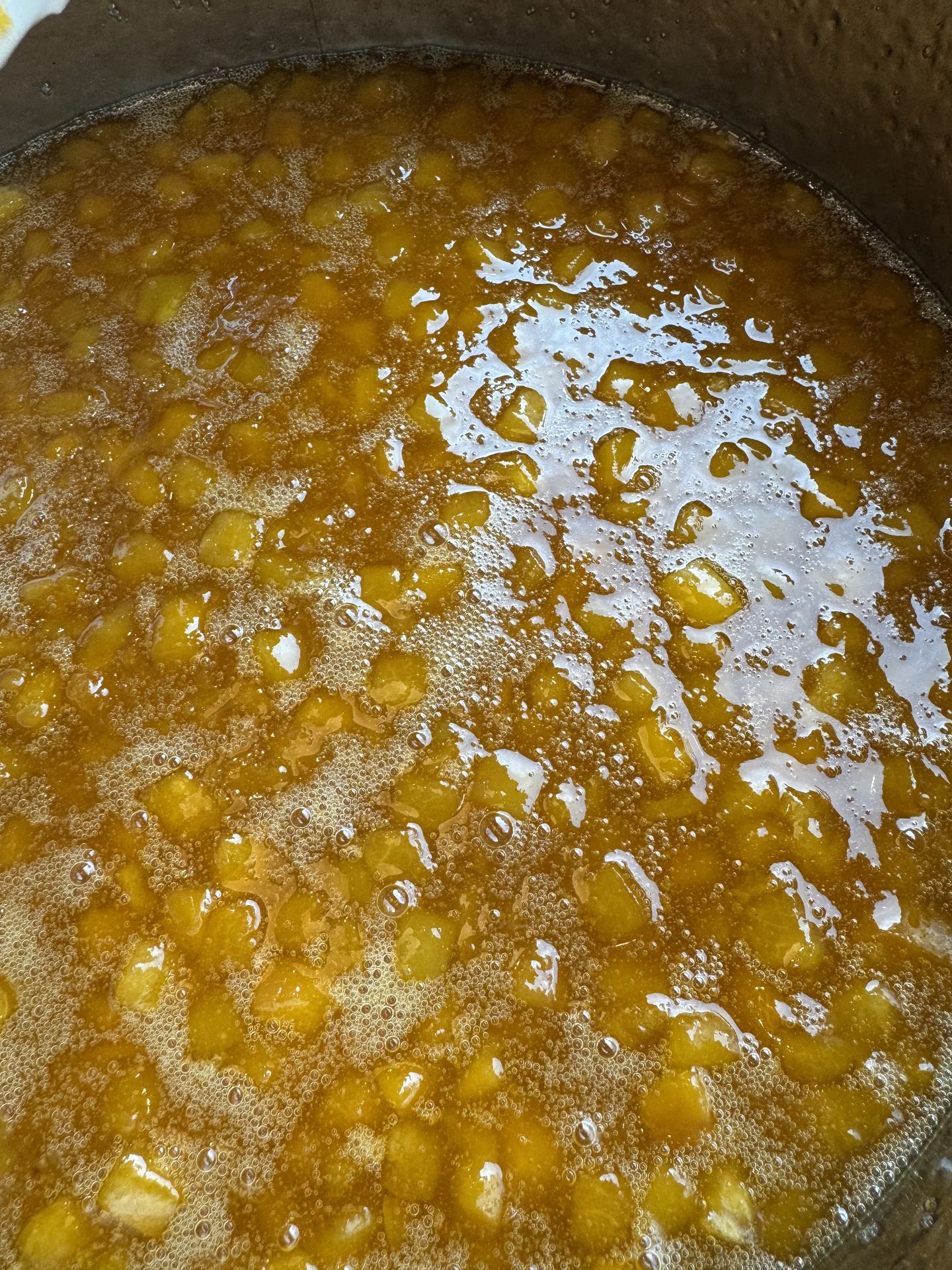 Homemade Apricot Sauce Ice Cream