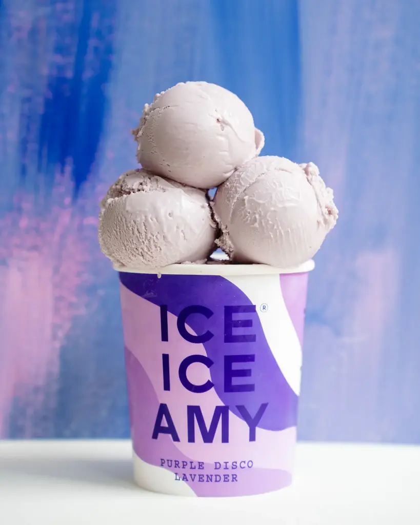 PURPLE LAVENDER DISCO