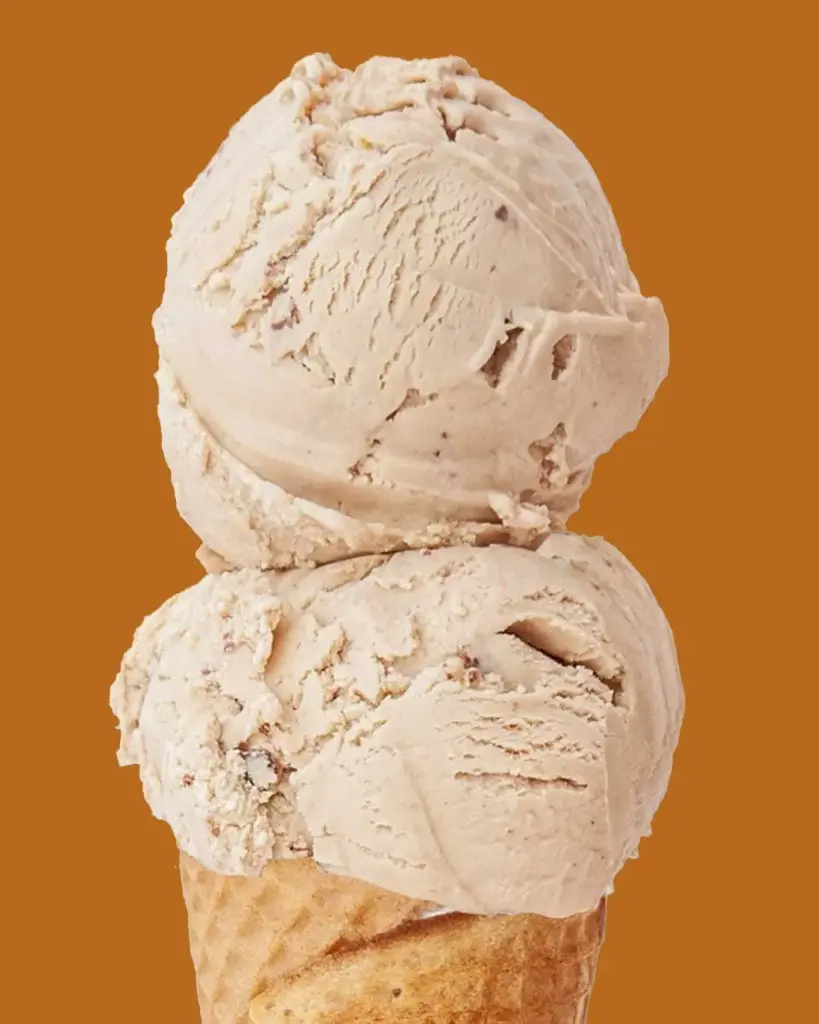 TOASTED HAZELNUT PASTE